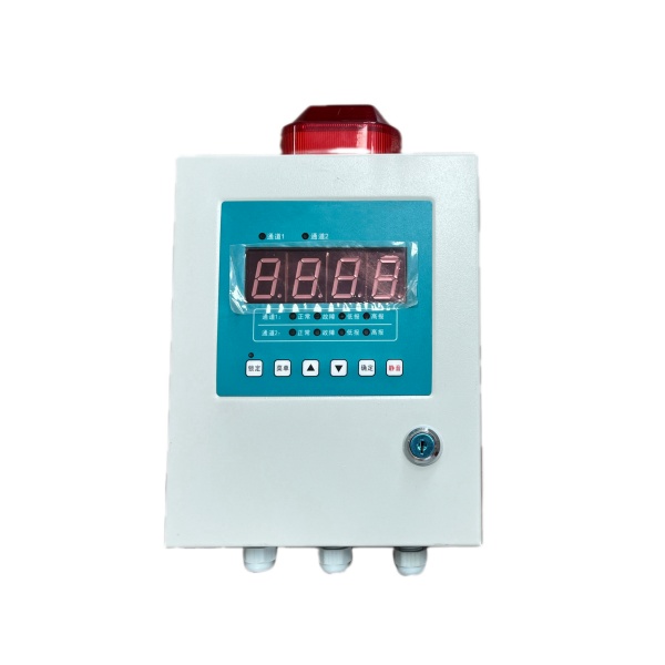 2 channel Gas Detection controller